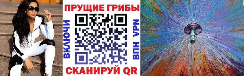 Галлюциногенные грибы MAGIC MUSHROOMS  Городовиковск 